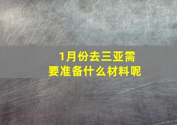 1月份去三亚需要准备什么材料呢