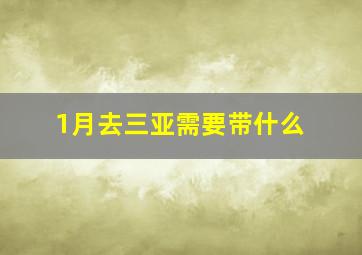 1月去三亚需要带什么