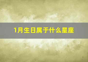 1月生日属于什么星座