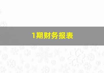 1期财务报表