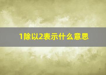 1除以2表示什么意思