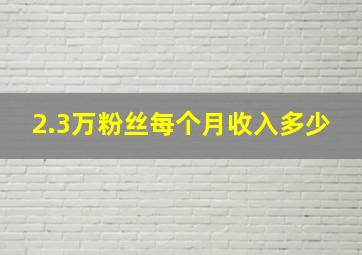 2.3万粉丝每个月收入多少