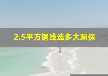 2.5平方铜线选多大漏保