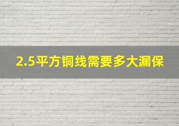 2.5平方铜线需要多大漏保