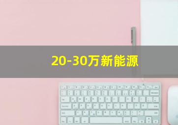 20-30万新能源