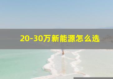 20-30万新能源怎么选