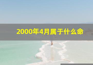 2000年4月属于什么命