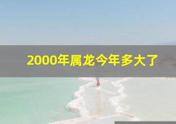 2000年属龙今年多大了