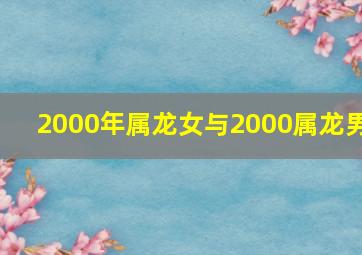 2000年属龙女与2000属龙男