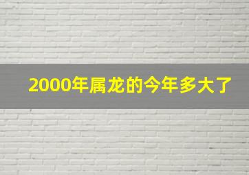 2000年属龙的今年多大了