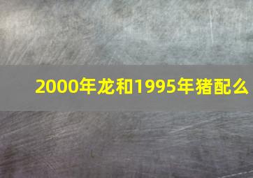 2000年龙和1995年猪配么