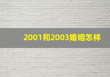 2001和2003婚姻怎样