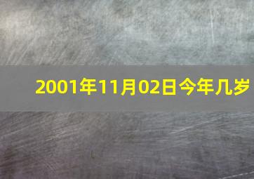 2001年11月02日今年几岁