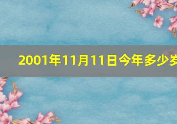 2001年11月11日今年多少岁