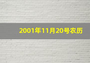 2001年11月20号农历