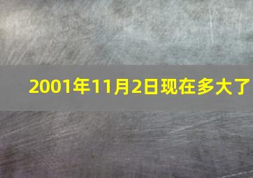 2001年11月2日现在多大了