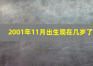 2001年11月出生现在几岁了