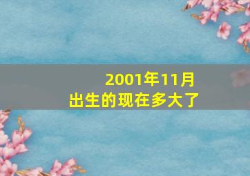 2001年11月出生的现在多大了