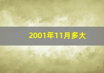 2001年11月多大