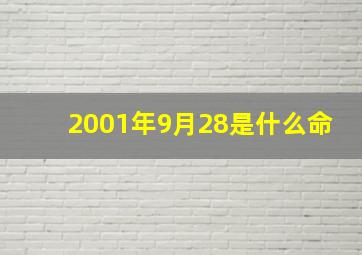 2001年9月28是什么命