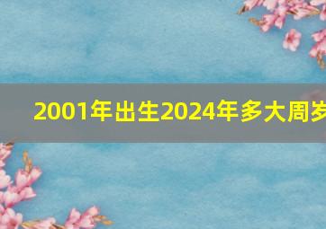 2001年出生2024年多大周岁