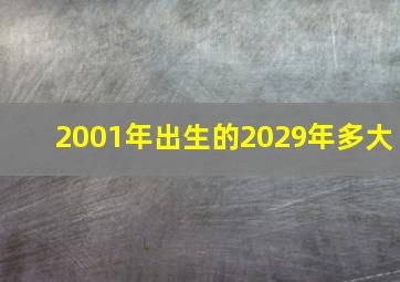 2001年出生的2029年多大