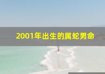 2001年出生的属蛇男命