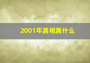 2001年属相属什么