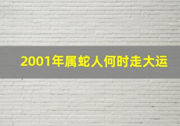 2001年属蛇人何时走大运