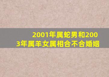 2001年属蛇男和2003年属羊女属相合不合婚姻