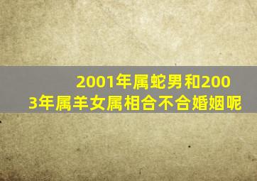 2001年属蛇男和2003年属羊女属相合不合婚姻呢