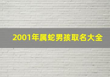 2001年属蛇男孩取名大全