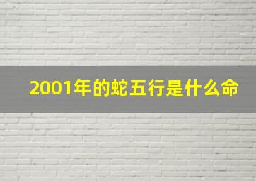 2001年的蛇五行是什么命