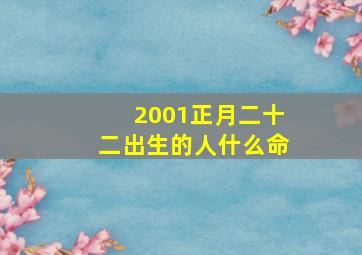 2001正月二十二出生的人什么命