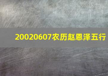 20020607农历赵恩泽五行