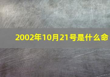 2002年10月21号是什么命