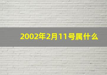 2002年2月11号属什么