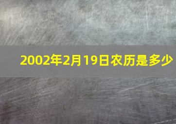 2002年2月19日农历是多少