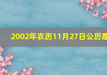 2002年农历11月27日公历是