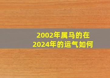 2002年属马的在2024年的运气如何