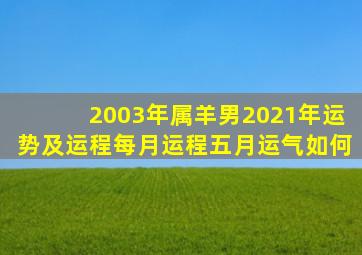 2003年属羊男2021年运势及运程每月运程五月运气如何