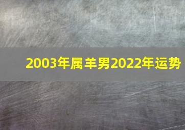 2003年属羊男2022年运势