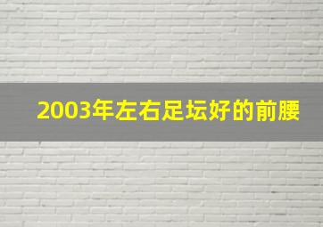 2003年左右足坛好的前腰