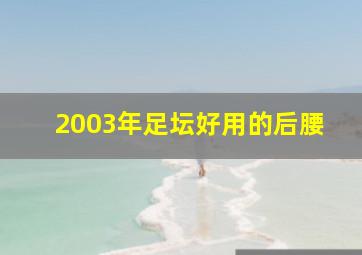 2003年足坛好用的后腰