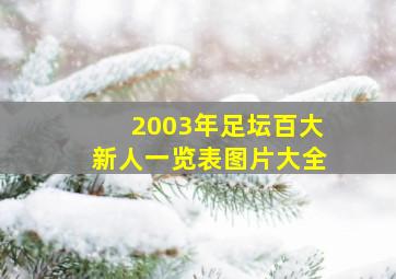 2003年足坛百大新人一览表图片大全