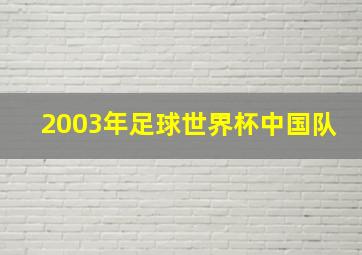 2003年足球世界杯中国队