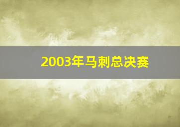 2003年马刺总决赛