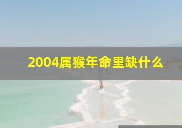 2004属猴年命里缺什么