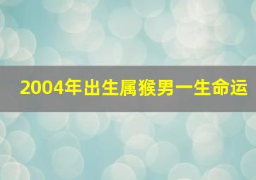 2004年出生属猴男一生命运