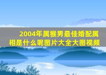 2004年属猴男最佳婚配属相是什么呢图片大全大图视频